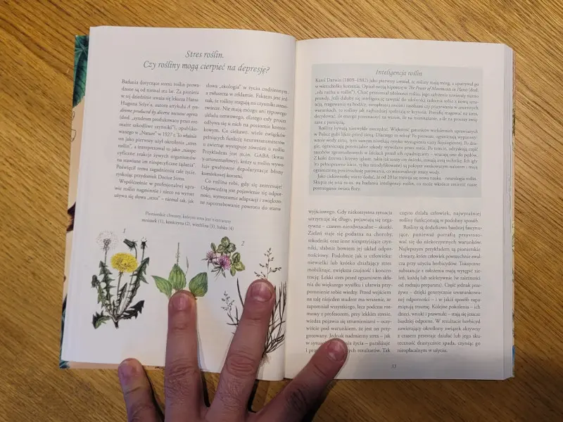 Tajemnicze życie roślin - recenzja nowej książki Michała Mazika