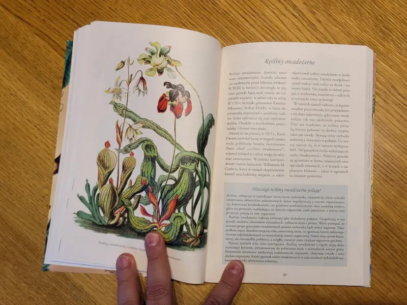 Tajemnicze życie roślin - recenzja nowej książki Michała Mazika