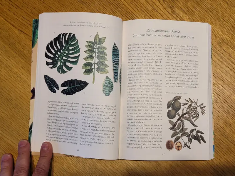 Tajemnicze życie roślin - recenzja nowej książki Michała Mazika