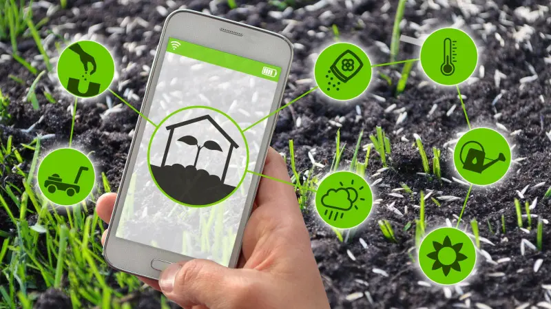 Aplikacje do ogrodu – jak z telefonu sterować wszystkimi urządzeniami