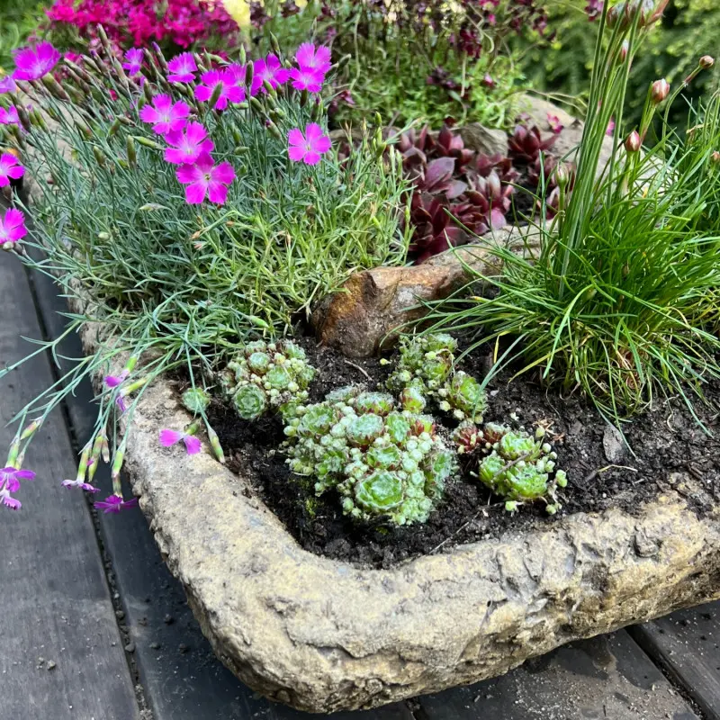 Miniaturowy skalniak w kamiennym pojemniku