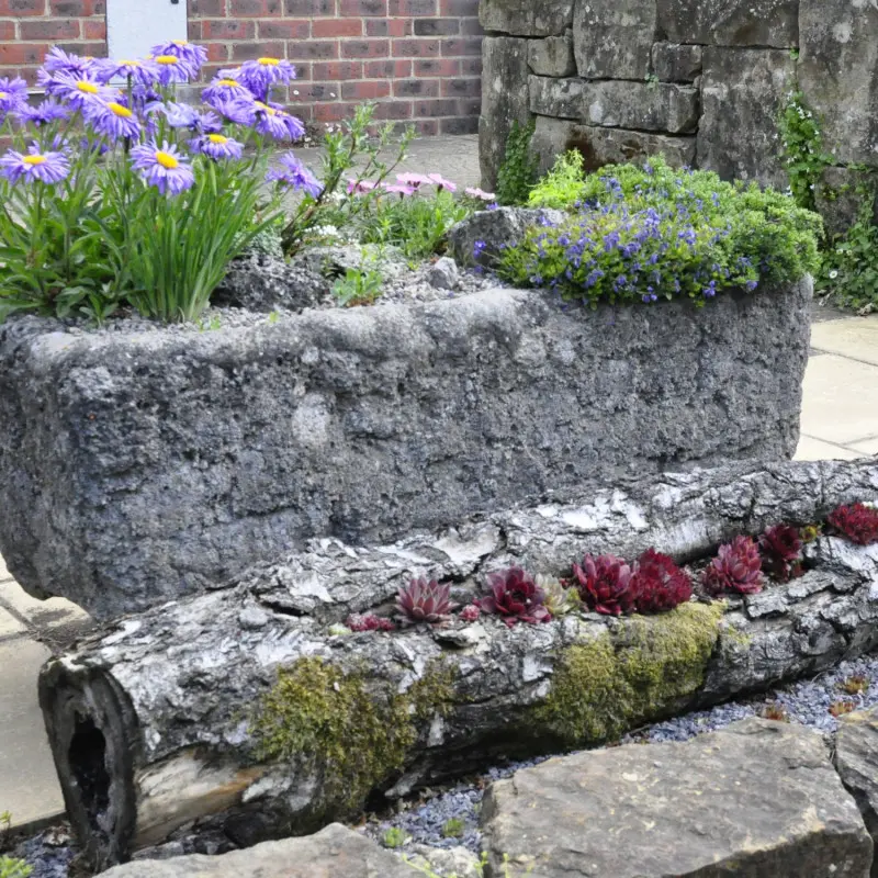 Mianiaturowy skalniak w kamiennej donicy i w wydrążonym pniu