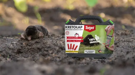 Pułapka z petardami na krety. Jak działa i czy warto kupić?