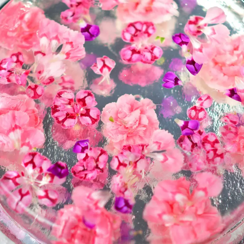 Galaretka z kwiatami goździków