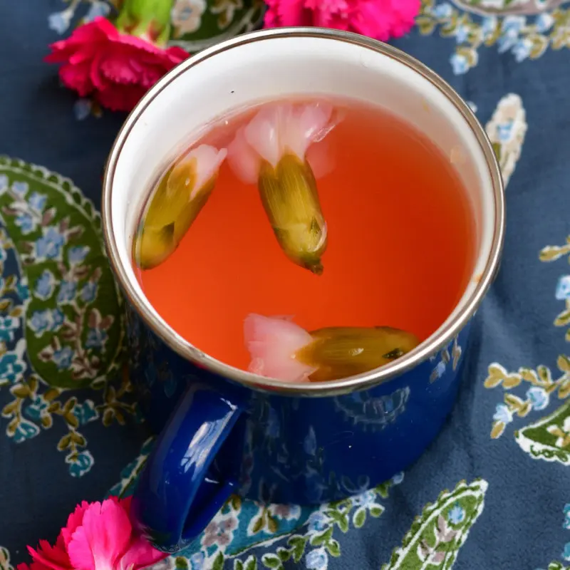 Herbatka z kwiatów goździków