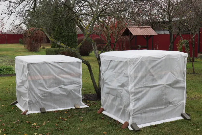 Zrób zimowy domek dla rododendronów do ochrony przed zimnem, suszą i wiatrem