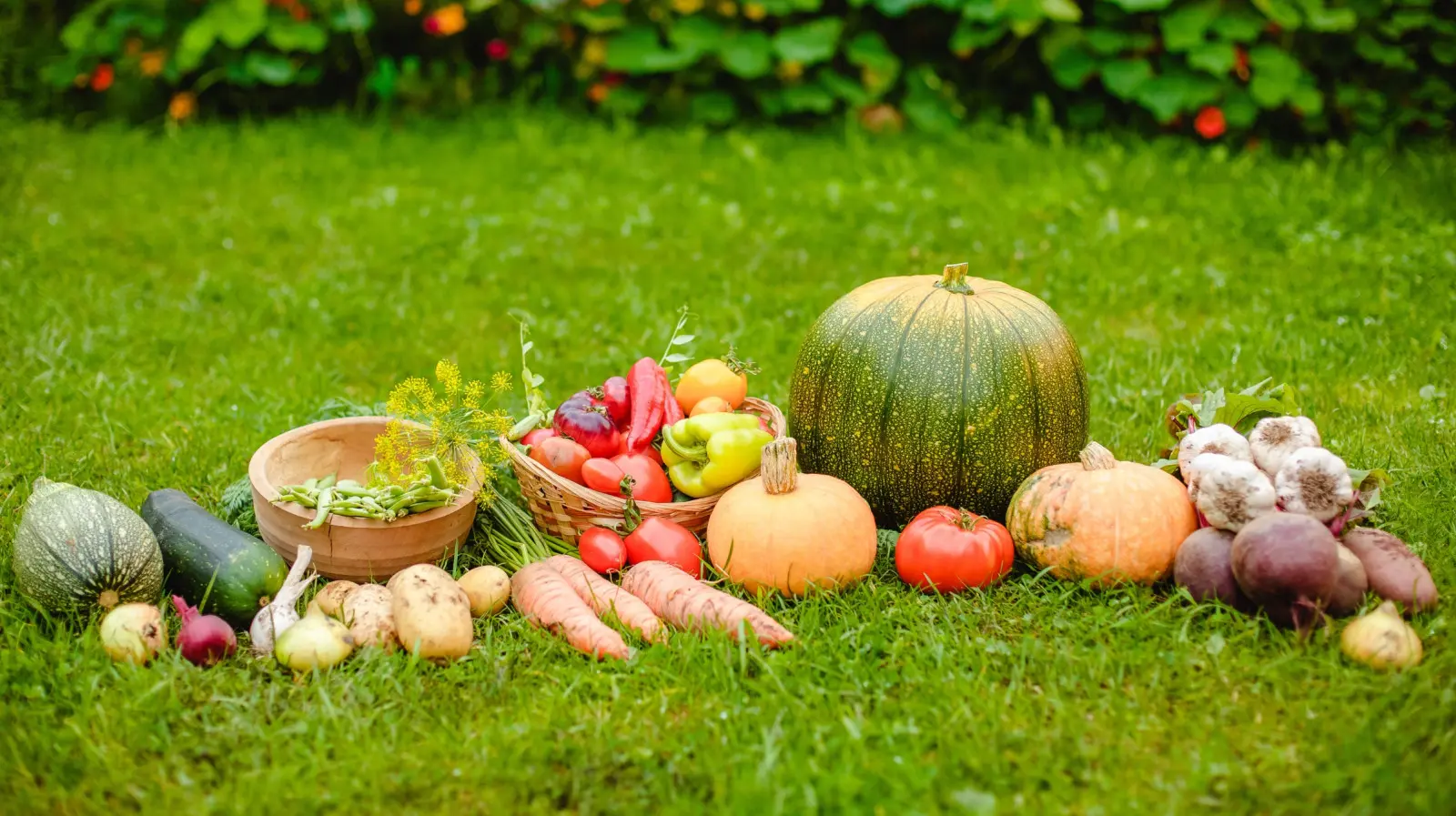 Warzywa i owoce z działek ROD nie takie zdrowe? Badania wykryły metale ciężkie, pestycydy, a choćby antybiotyki