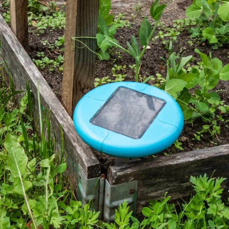 Odstraszacz dźwiękowy na kreta