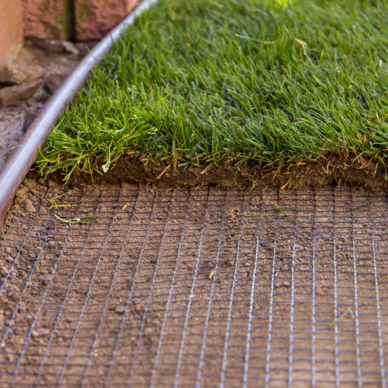 Sposoby na kreta w ogrodzie - montaż siatki