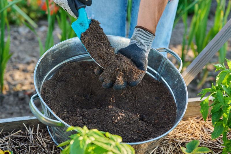 Mieszanie żyznej ziemi w metalowym wiadrze podczas prac ogrodowych
