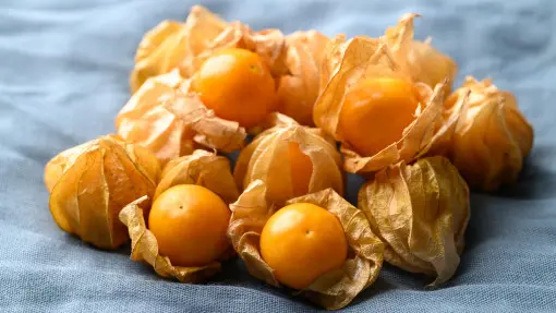 Owoce, które trudno kupić w sklepie. Jak uprawiać rodzynek brazylijski w ogrodzie?