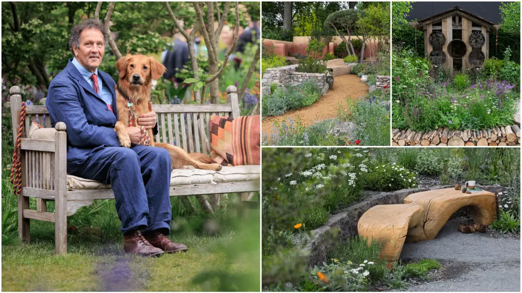  Trendy z Chelsea Flower Show 2025. Projekt ogrodu "Dog Garden" i roślina roku 2025