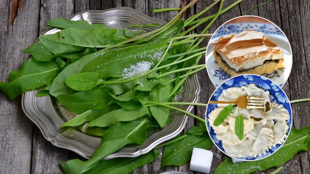 Szczaw na słodko. Przepisy na dania ze szczawiem - ciasto i pierogi