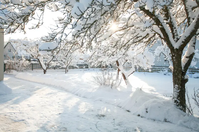 Łopata czy odśnieżarka? Zdziwisz się, co lepiej sprawdzi się zimą! Czas to pieniądz, a kręgosłup jeden