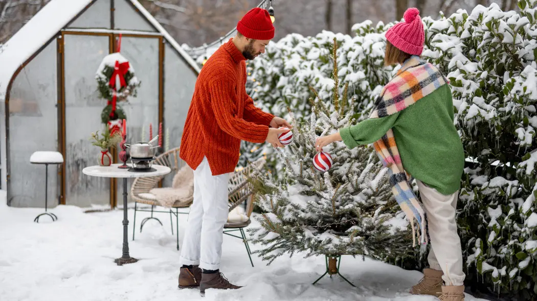 Choinka na zewnątrz. Na co zwrócić uwagę?