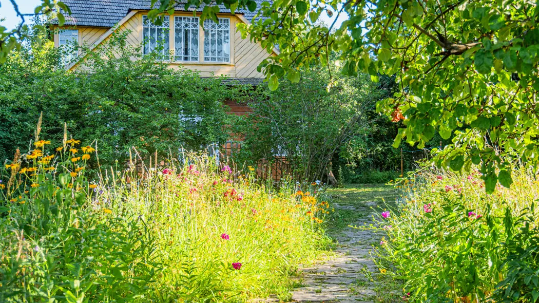 Efekt dzikiego ogrodu bez chaosu – jak osiągnąć naturalny urok