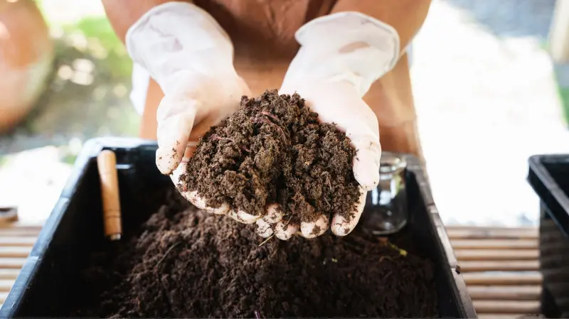 Zdrowa gleba to mniej problemów