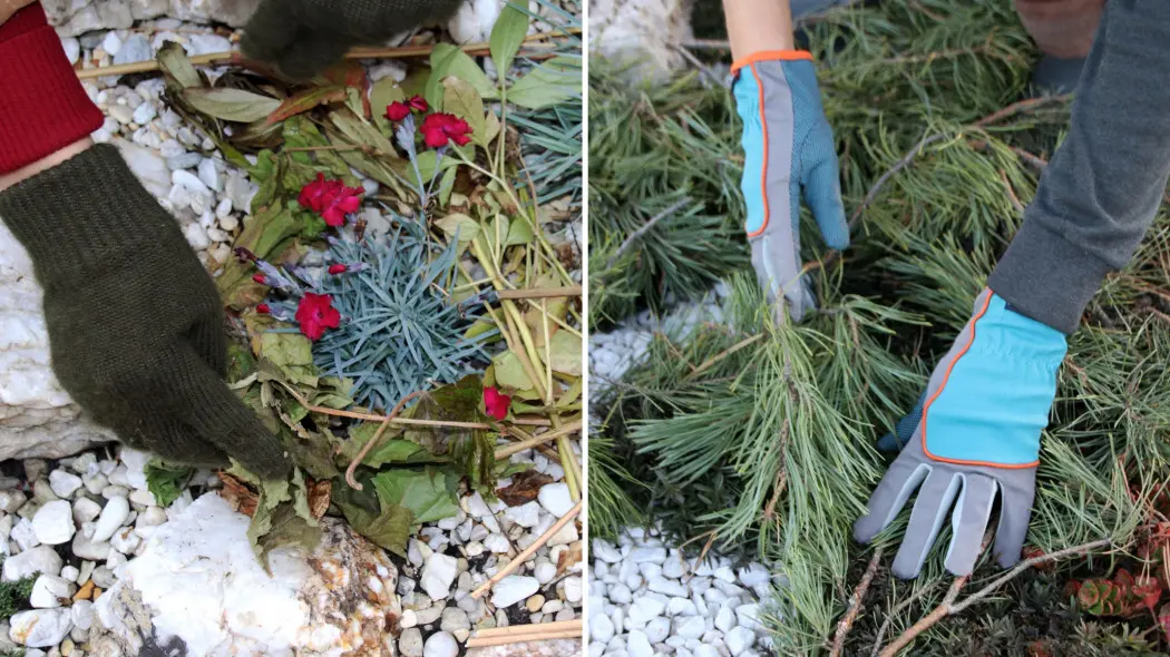 Liście i igliwie działają jak izolacja od zimna i masz je za darmo