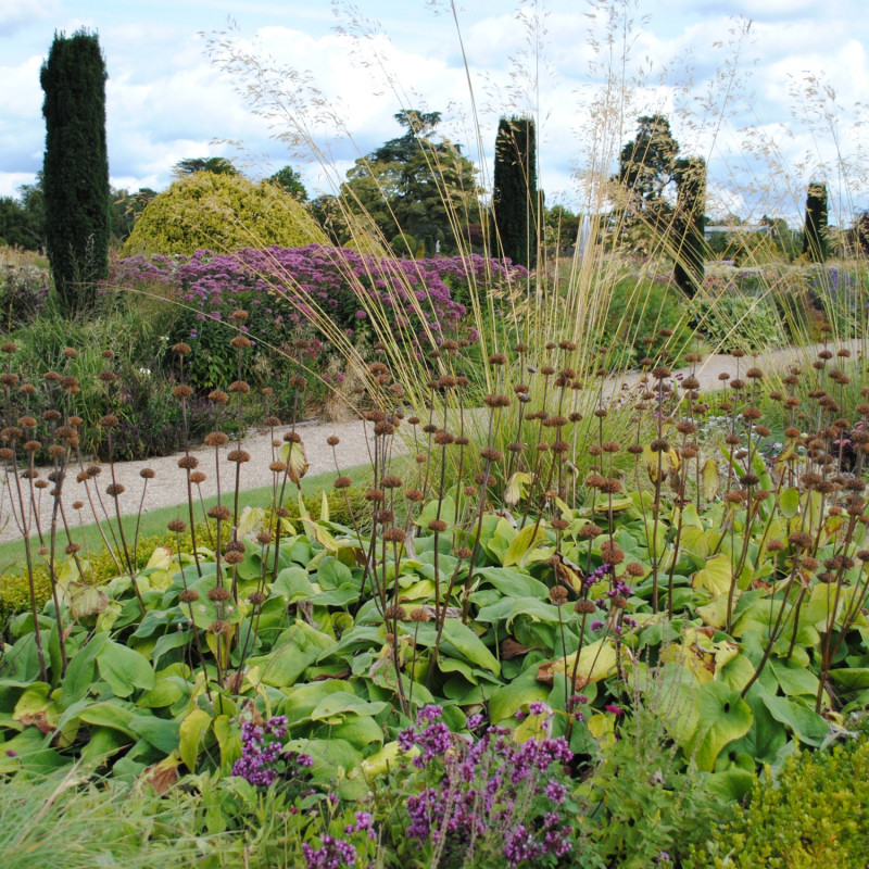 Współczesne rabaty w XIX-wiecznych ogrodach
włoskich w Trentham