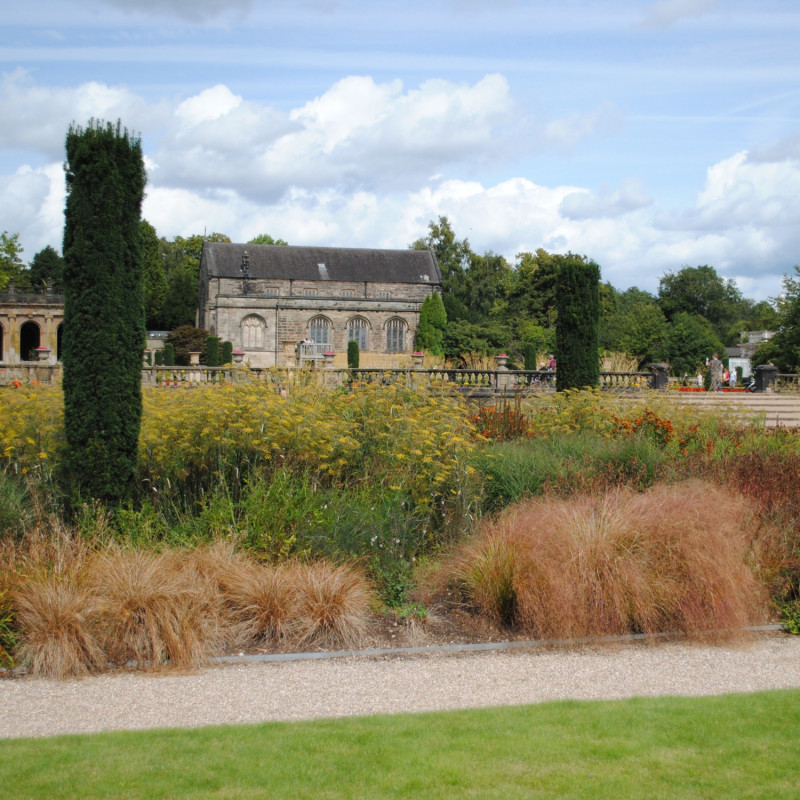 Rabaty na tle XIX-wiecznych ruin posiadłości
Trentham