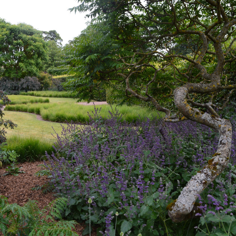 Historyczny Scampston Hall z rabatami Pieta Outdolfa