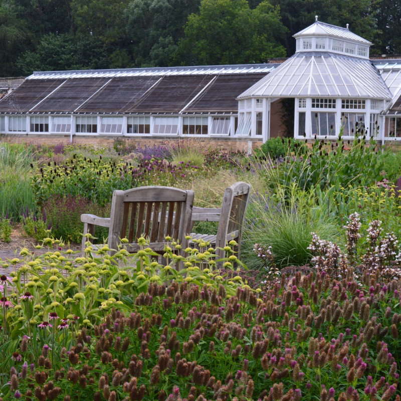 Rabaty Oudolfa w Scampston