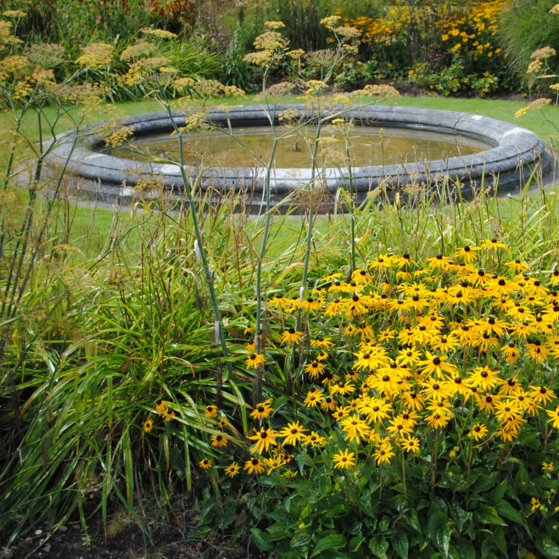 Ogród naturalistyczny przy dawnym basenie do pobierania wody