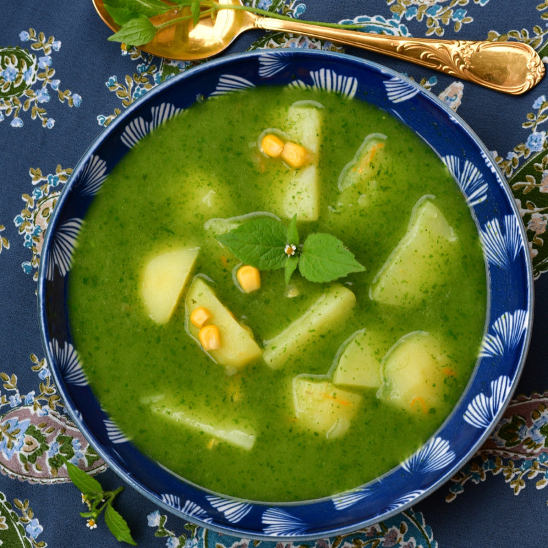 Zielona zupa z żółtlicy