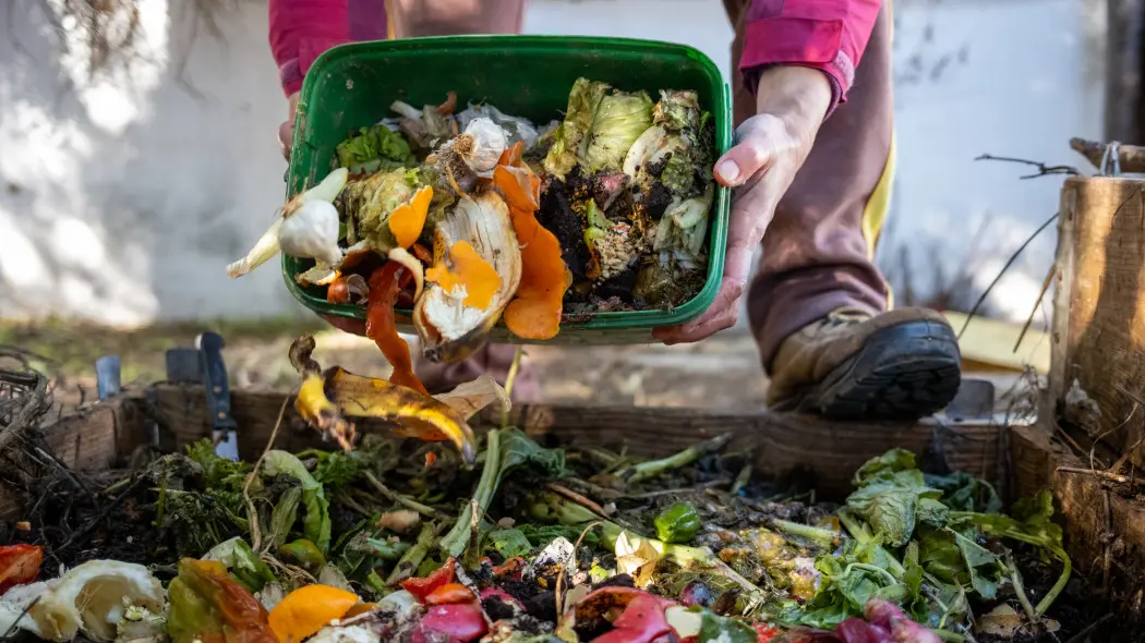 Kompost z kuchni – darmowe złoto czy źródło problemów