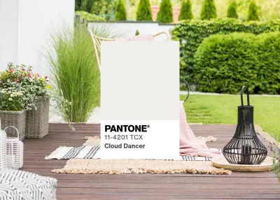 Kolor Pantone 2026 roku wchodzi do ogrodów. Sprawdź, jak wprowadzić Cloud Dancer