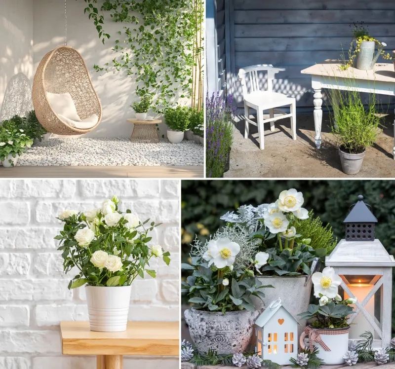 Dodatki do ogrodu inspirowanego kolorem roku Pantone 2026 Cloud Dancer