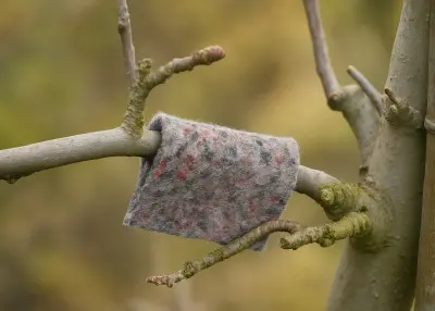 Zawieś i zapomnij o szkodnikach w sadzie! Dobroczynek zrobi resztę