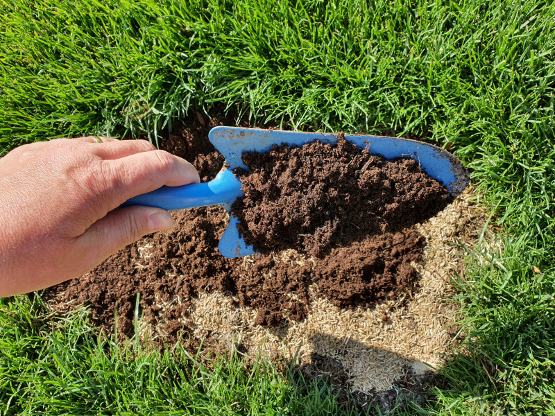 Przysypanie nasion ziemią