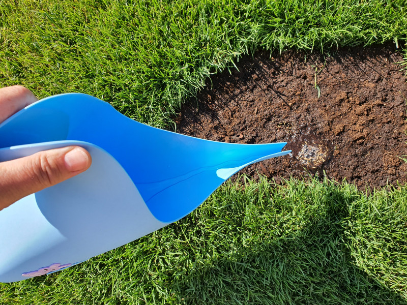 Podlewanie nasion po dosiewce