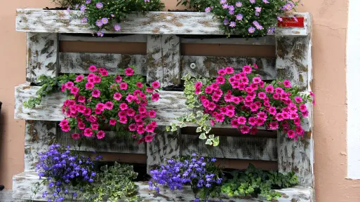 Kwietnik z palety. Jak zrobić krok po kroku?