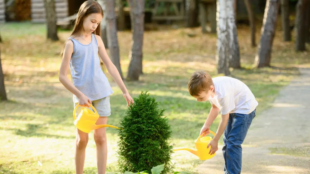 To dziecinnie proste. Wystarczy 1 nakrętka nawozu do konewki