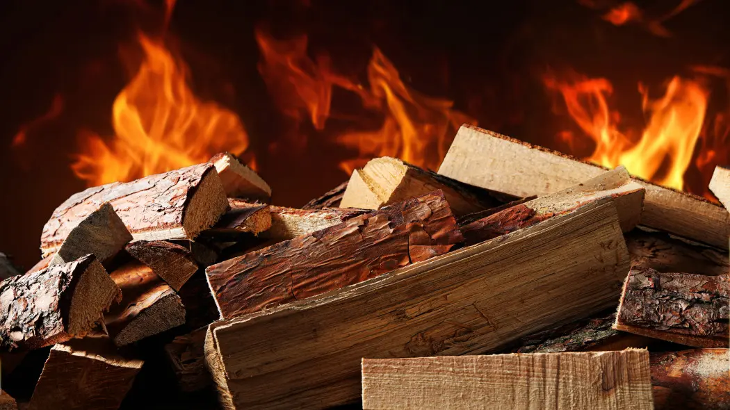 Najlepsze drewno do kominka