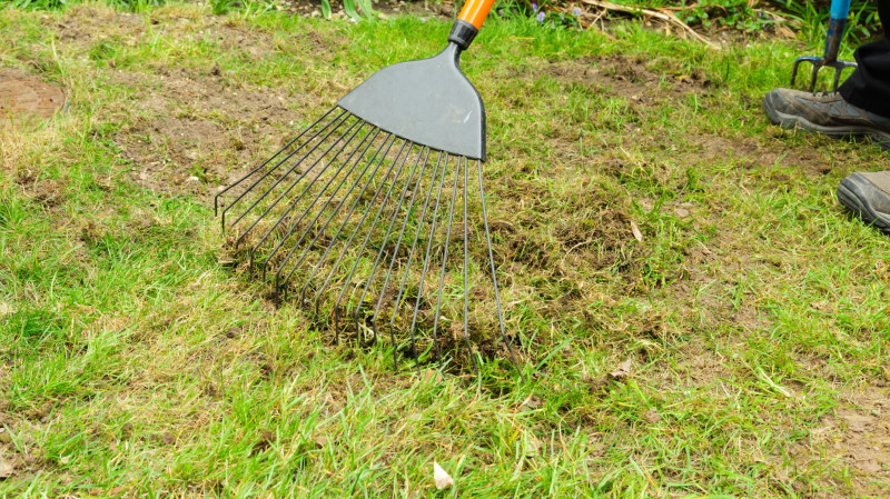 Narzędzie do trawnika - grabie