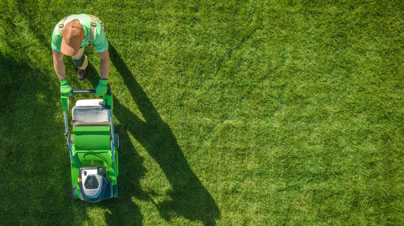 Narzędzie do trawnika - kosiarka