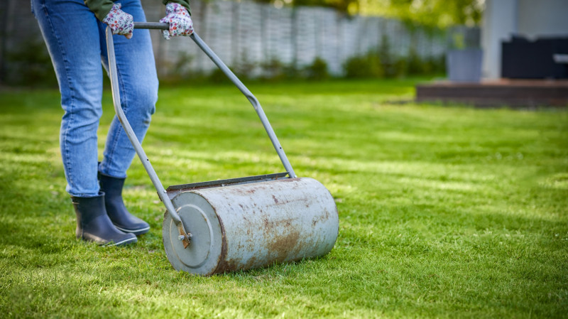 Narzędzie do trawnika - walec