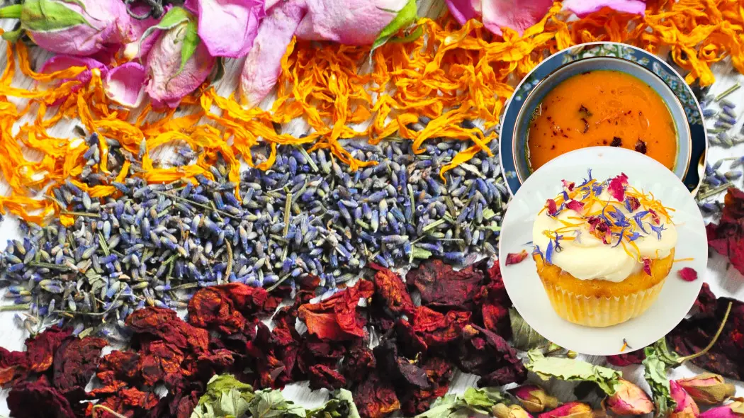 Czas na suszki. Dwa przepisy na dania z suszonymi kwiatami