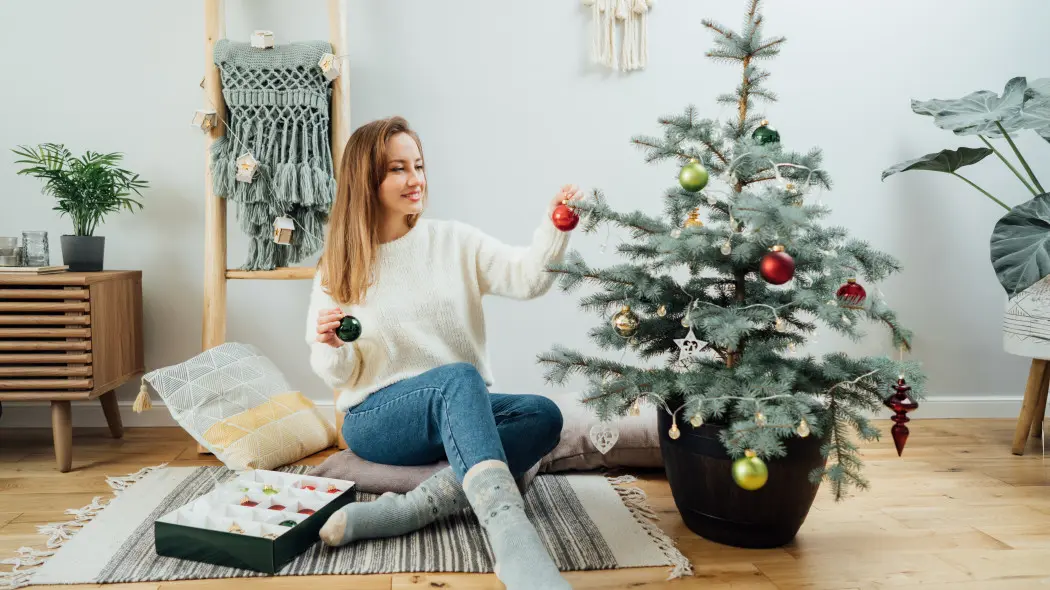 Dbaj tak o choinkę w doniczce, a nie uschnie i nie zżółknie