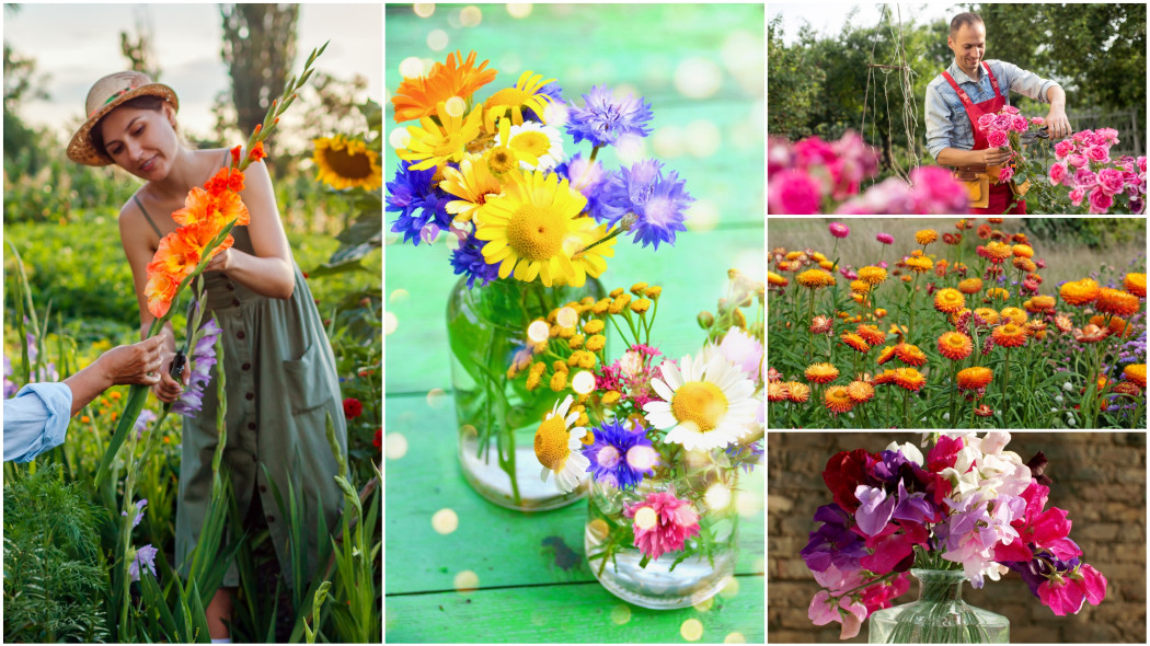 Jakie kwiaty cięte sadzić, aby mieć je w wazonie cały rok?