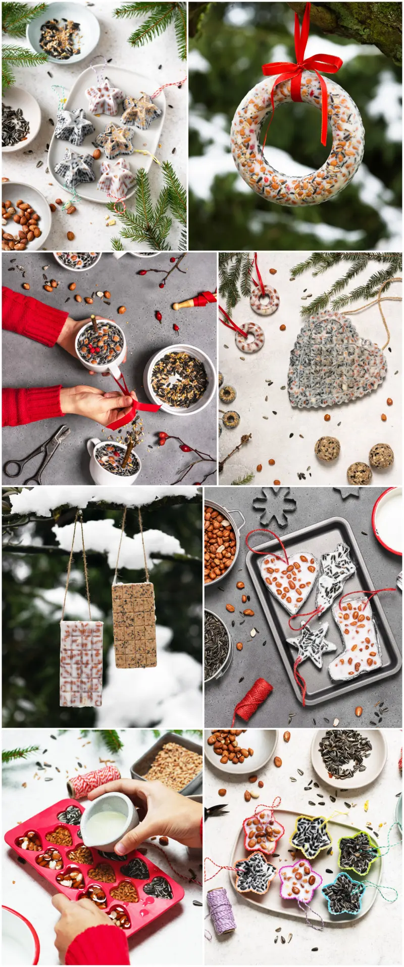 Pomysły na zimowe przekąski dla ptaków z tłuszczu i ziaren