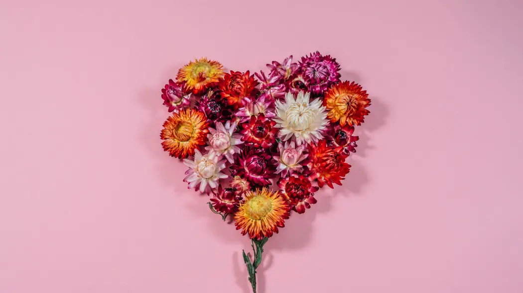 Najlepsze kwiaty na suszki. Jak uprawiać suchołuski?