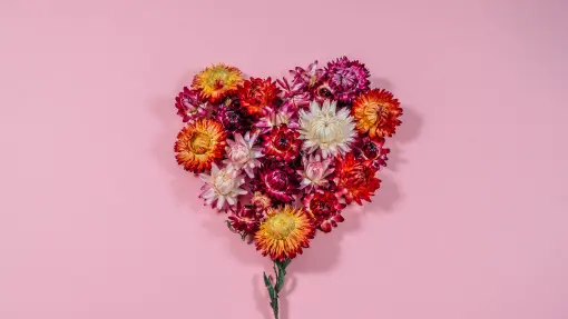 Najlepsze kwiaty na suszki. Jak siać, uprawiać i suszyć suchołuski?