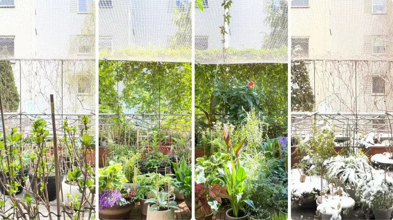 4 pory roku - ogród na tarasie. Film zrobiony smartfonem