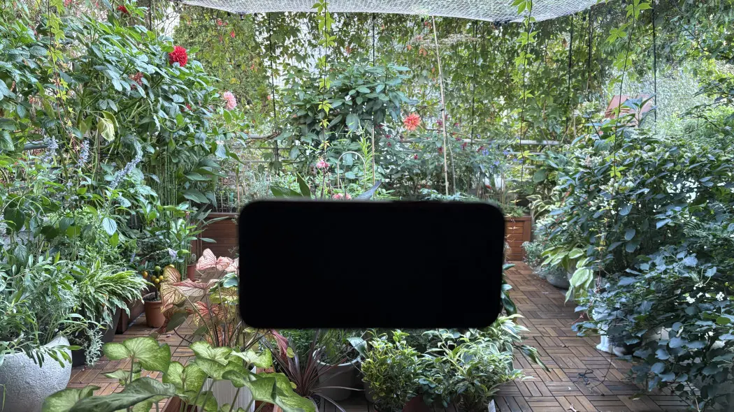 Jak wykorzystać smartfon do zrobienia filmu o ogrodzie?