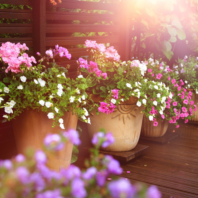 Donice z kwiatami balkonowymi latem