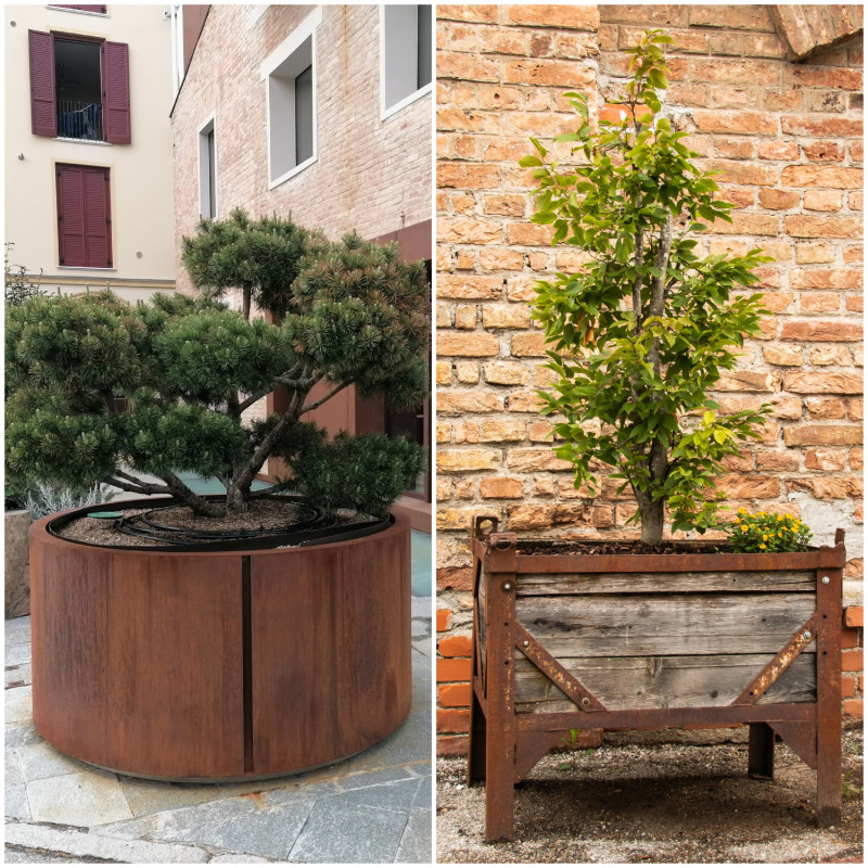 Krzewy w donicach z cortenu